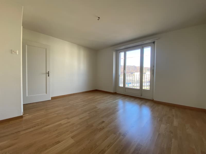 Schöne und stadtnahe Wohnung (2)