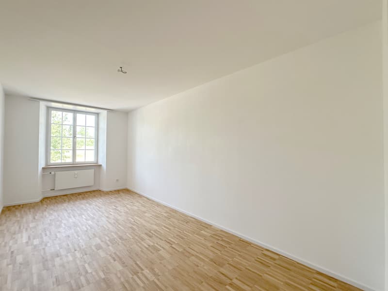 Wohntraum Maisonette im historischen MEIERHOF! (10)