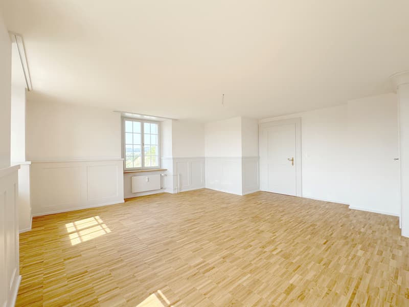 Wohntraum Maisonette im historischen MEIERHOF! (8)