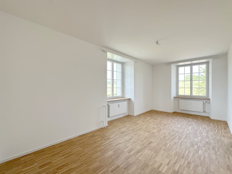 Wohntraum Maisonette im historischen MEIERHOF! (9)