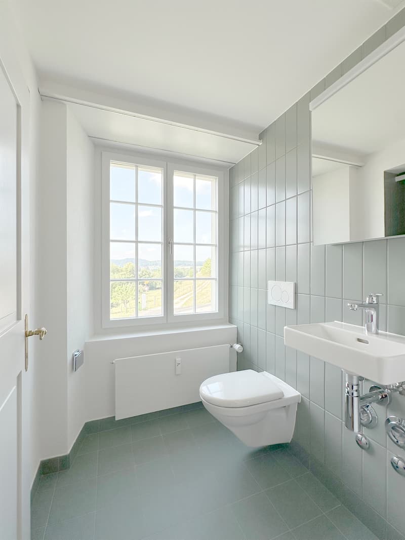 Wohntraum Maisonette im historischen MEIERHOF! (13)