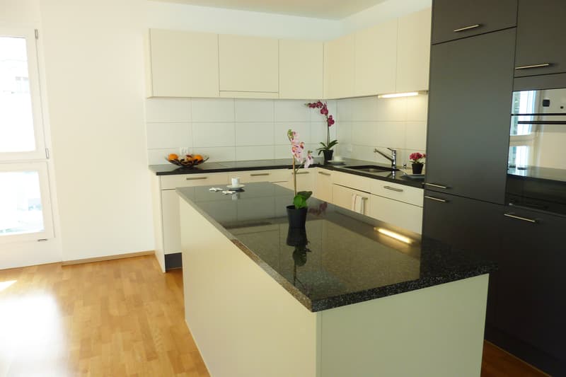 Moderne Attikawohnung mit tollem Grundriss (3)