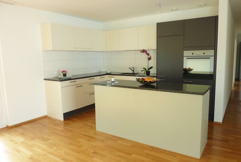 Moderne Attikawohnung mit tollem Grundriss (2)