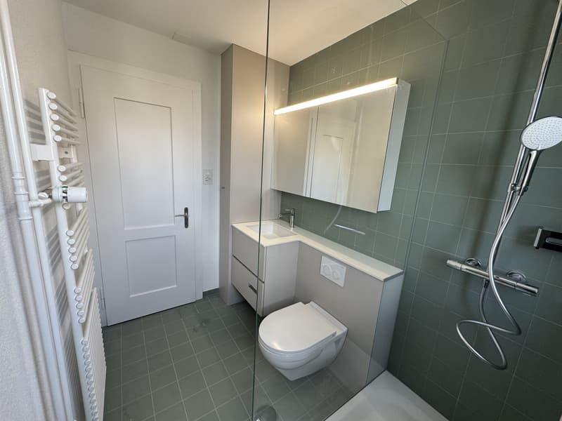Suchen Sie das Besondere? - Ihre frisch sanierte 3 Zimmer-Wohnung in Cham (4)