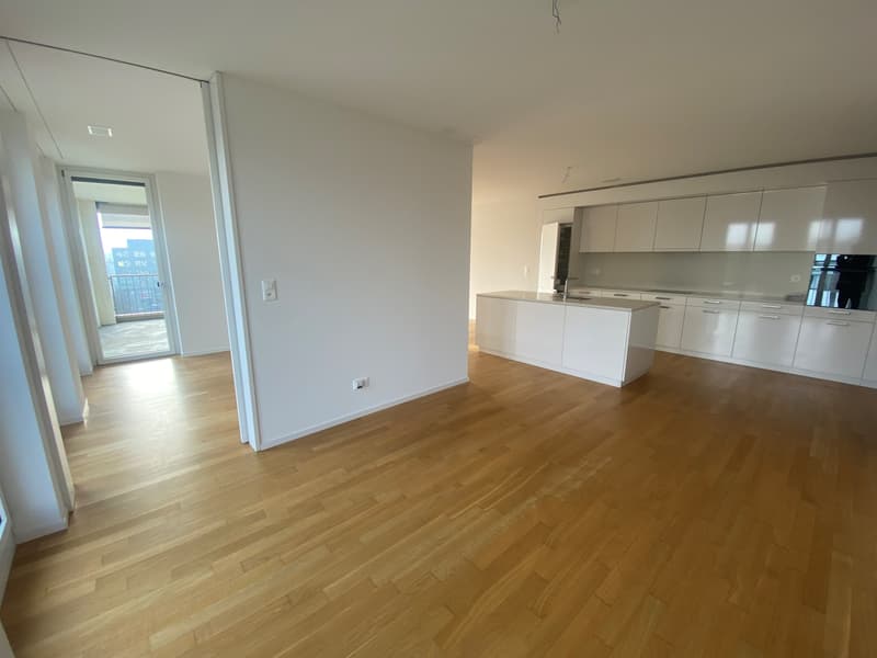Wunderschönes Wohn-Highlight in Dietikon! (4)