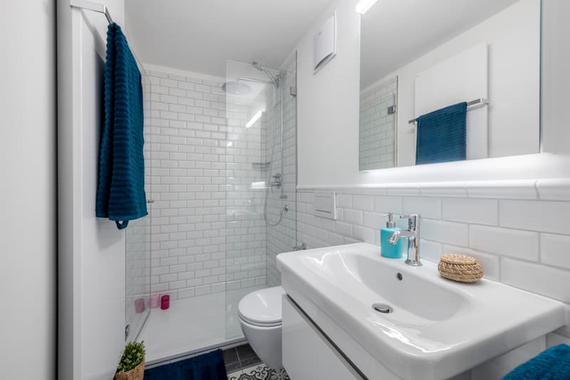 Tolle Singlewohnung (4)