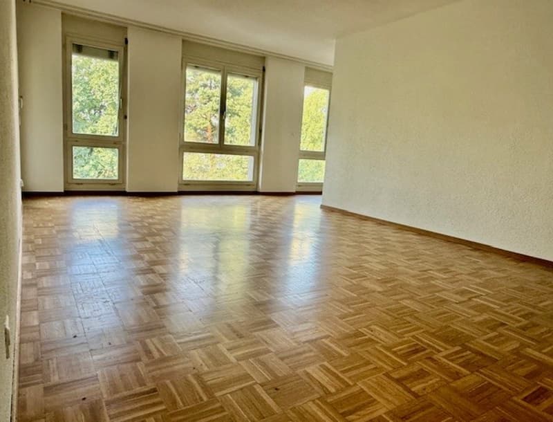Charmante 3.5-Zimmerwohnung in Biel einziehen und geniessen! (3)