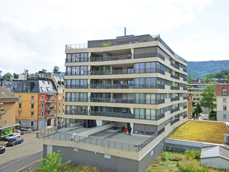 Wohntraum Attika - mit Ausblick auf den Zürichsee und in die Berge! (1)