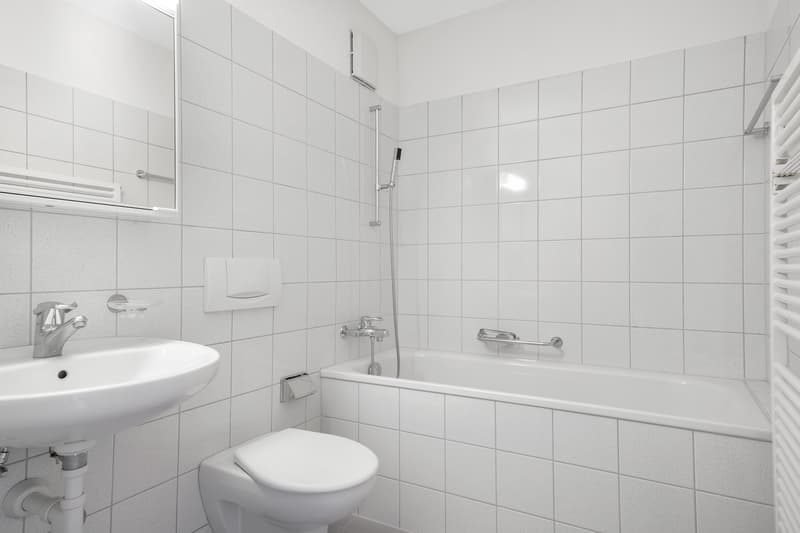 Ansprechende Singlewohnung an zentraler Lage in Schwamendingen (4)