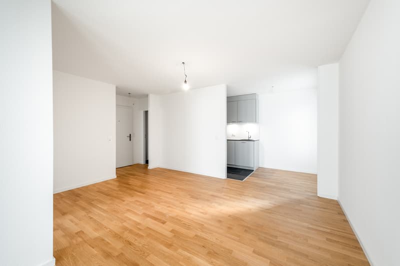 Im Herzen von Zürich-Albisrieden - Frisch saniert - Ihr neues Zuhause? (2)