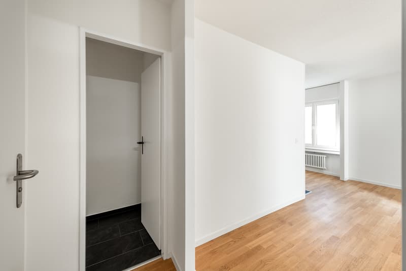 Im Herzen von Zürich-Albisrieden - Frisch saniert - Ihr neues Zuhause? (7)