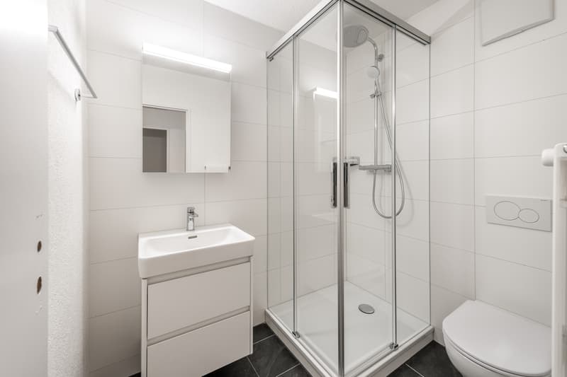 Im Herzen von Zürich-Albisrieden - Frisch saniert - Ihr neues Zuhause? (11)