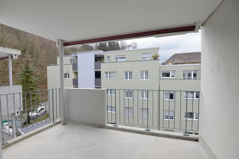 Naturnah wohnen, stadtnah leben moderne 4.5-Zimmer-Wohnung in Luzern (10)