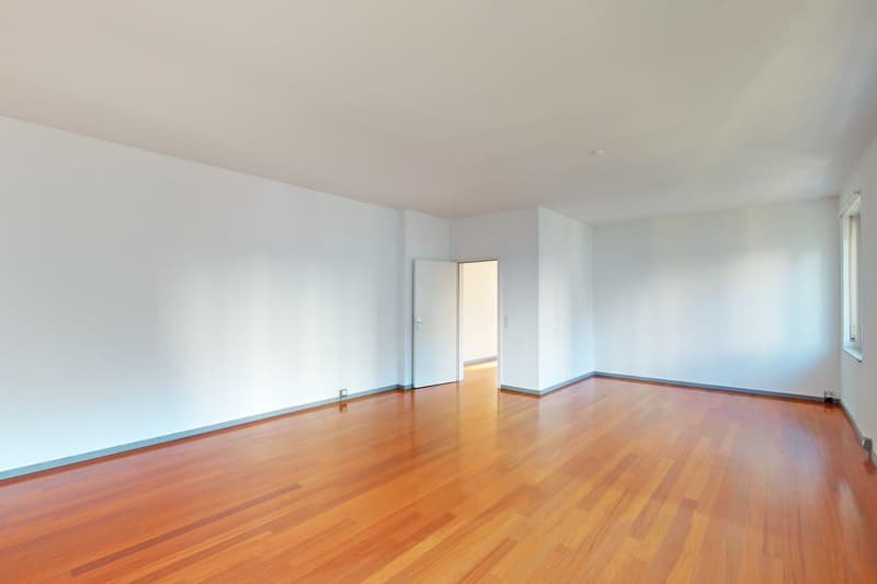 Benvenuti nel vostro nuovo ambiente di lavoro nel cuore di Bellinzona! (6)