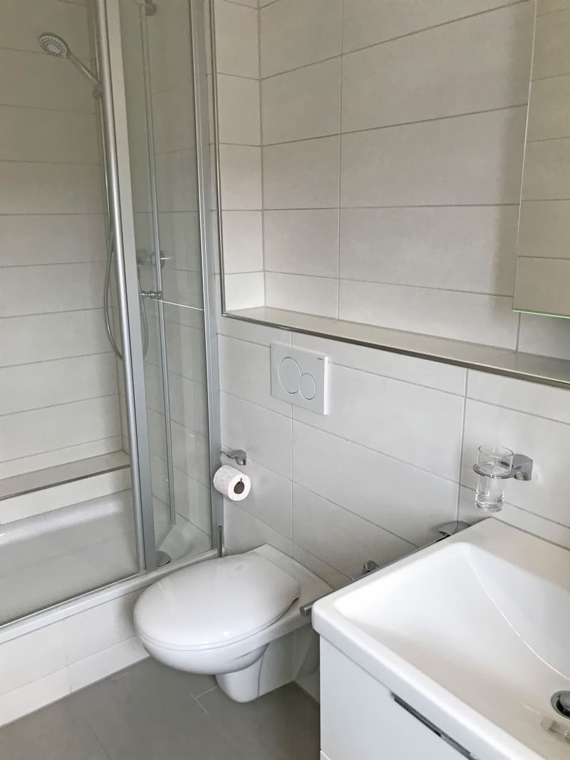 Singlewohnung an ruhiger Lage - NachmieterIn per sofort gesucht! (4)