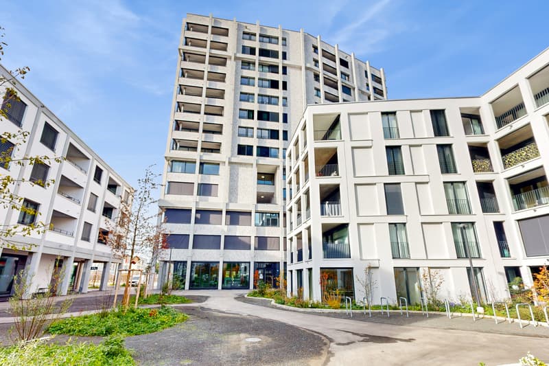 Moderne 4.5-Zimmerwohnung mit herrlicher Aussicht in Aesch (1)