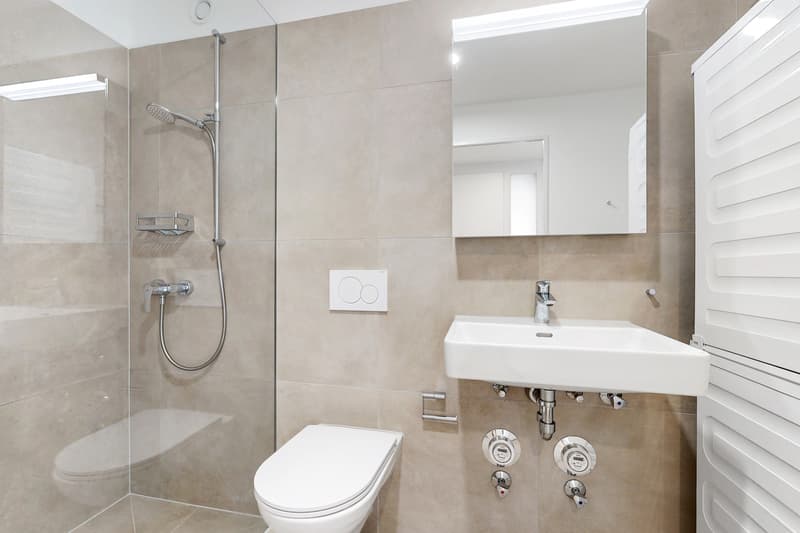 Moderne 4.5-Zimmerwohnung mit herrlicher Aussicht in Aesch (4)