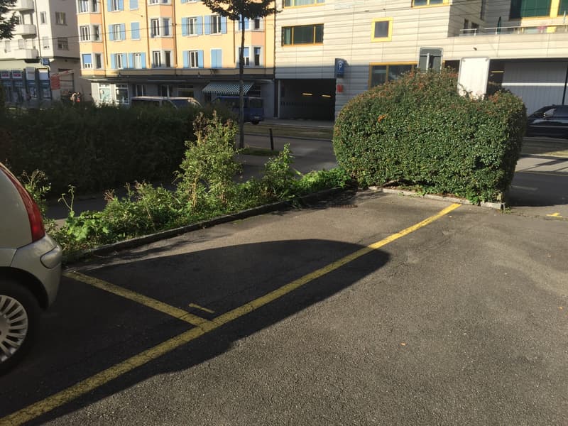 Abstellplatz zu vermieten! (3)