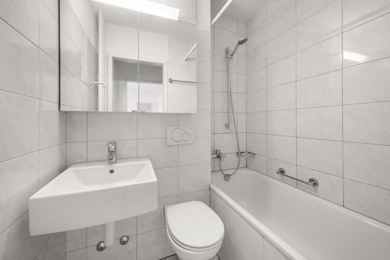 Charmant und zentral - Singlewohnung im Herzen von Wipkingen (6)