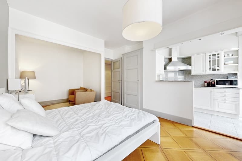 Magnifique appartement! (7)