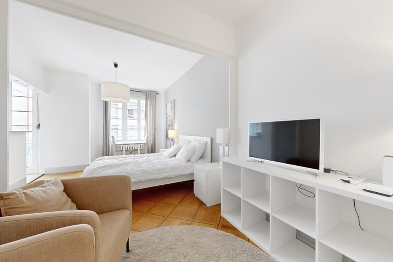 Magnifique appartement! (2)