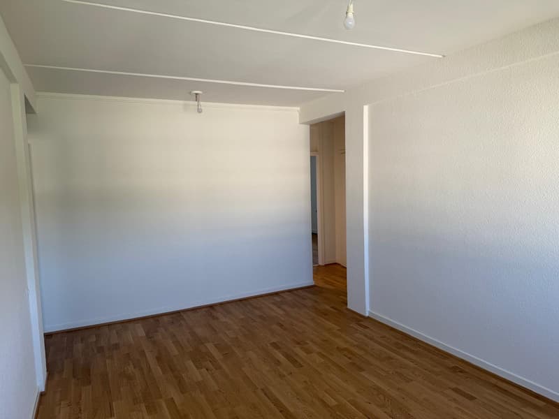Profitez du charme de Carouge dans un cadre verdoyant et familial (7)