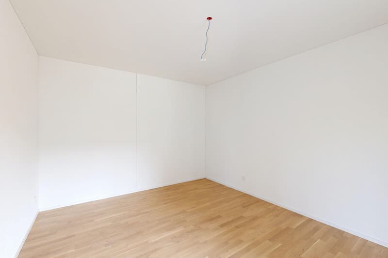 Ihr neues Zuhause- nahe dem Zürichsee (4)