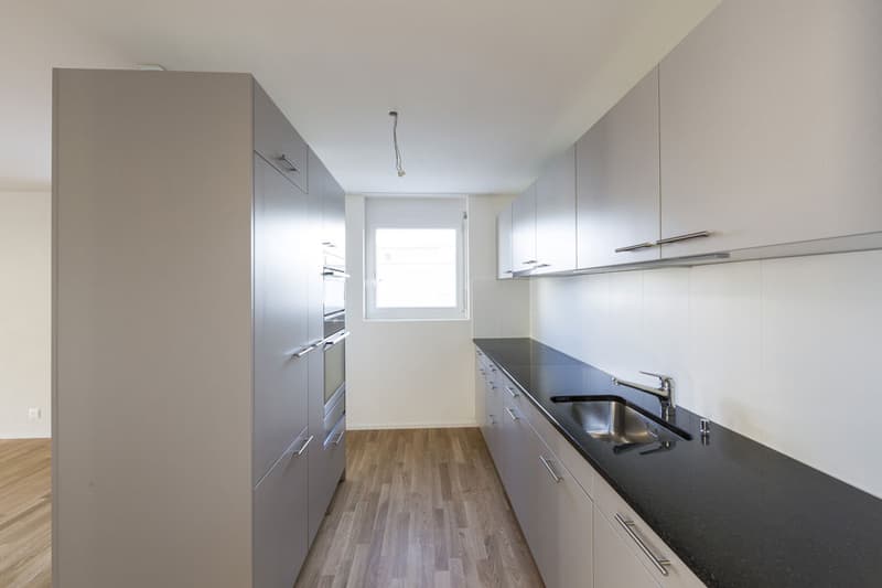 Moderne und grosszügige Wohnung (3)
