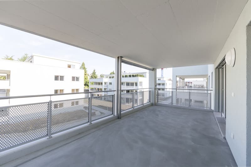 Moderne und grosszügige Wohnung (2)