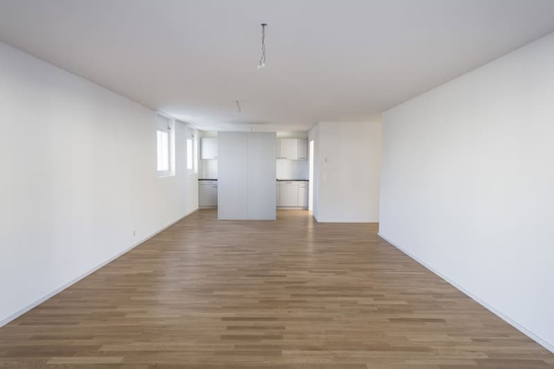 Moderne und grosszügige Wohnung (4)
