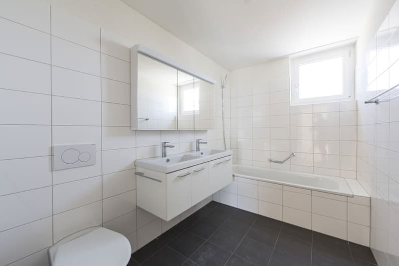 Moderne und grosszügige Wohnung (5)