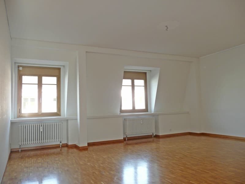 Singlewohnung an top Lage in Zürich! (3)