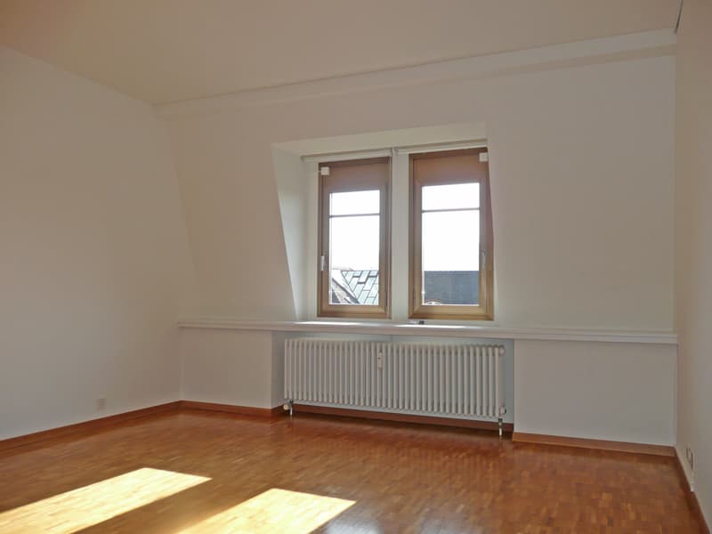Singlewohnung an top Lage in Zürich! (4)