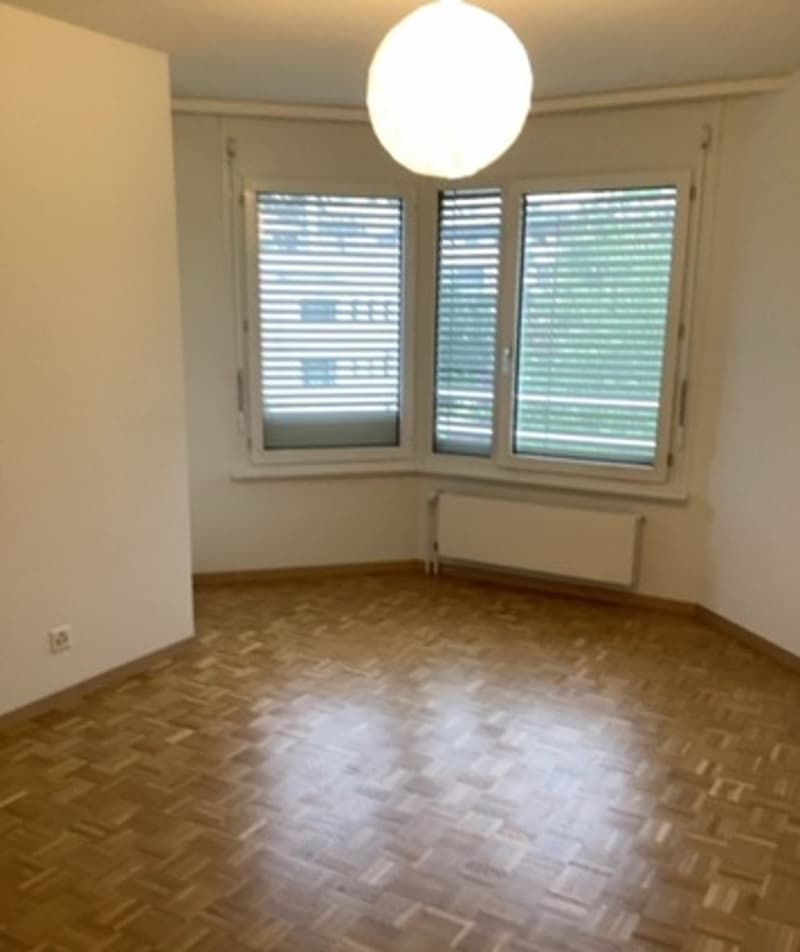 Le calme au sein d'un quartier verdoyant à Versoix (3)