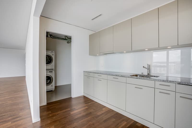 Geniale Wohnung mit sehr grosser Terrasse (5)
