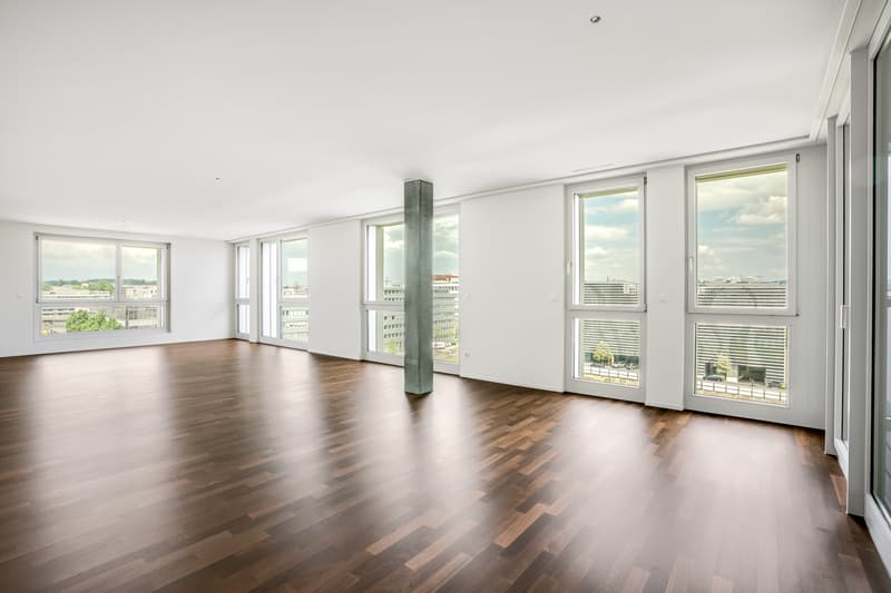 Geniale Wohnung mit sehr grosser Terrasse (4)