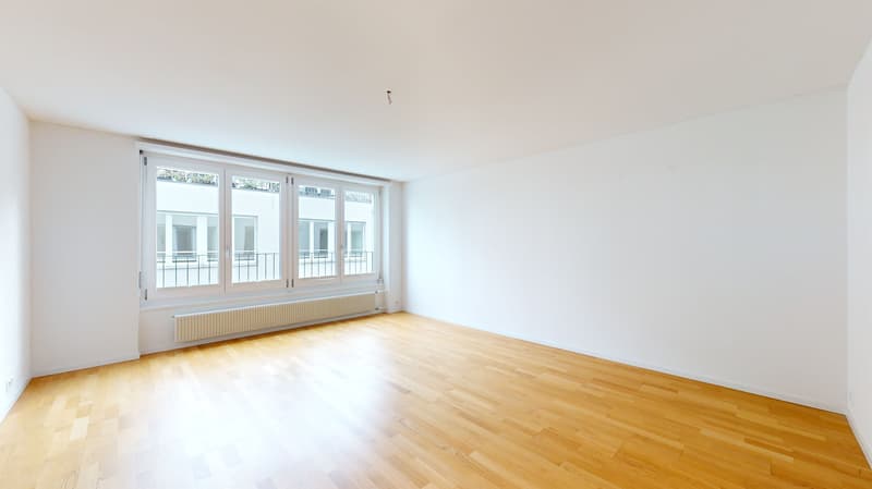 Sanierte Wohnung im Herzen von Solothurn! Nachmieter per sofort gesucht. (8)