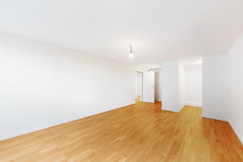 Sanierte Wohnung im Herzen von Solothurn! Nachmieter per sofort gesucht. (7)