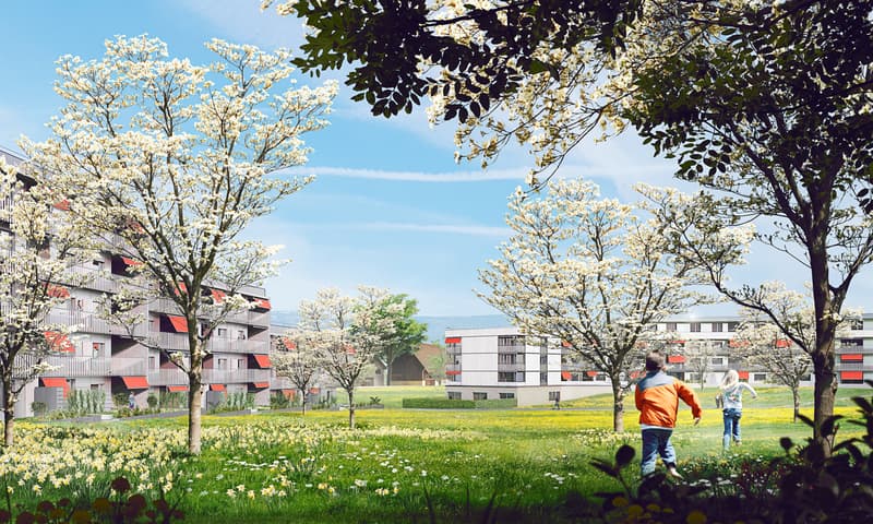 Einzigartige Attikawohnung mit Neubaustandard im beliebten Schöngrün-Areal. (9)