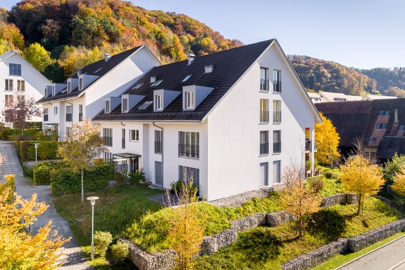 Suchen Sie die perfekte Familienwohnung? (1)