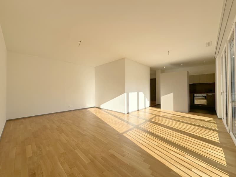 Moderne Wohnung in der Stadt Zürich (2)