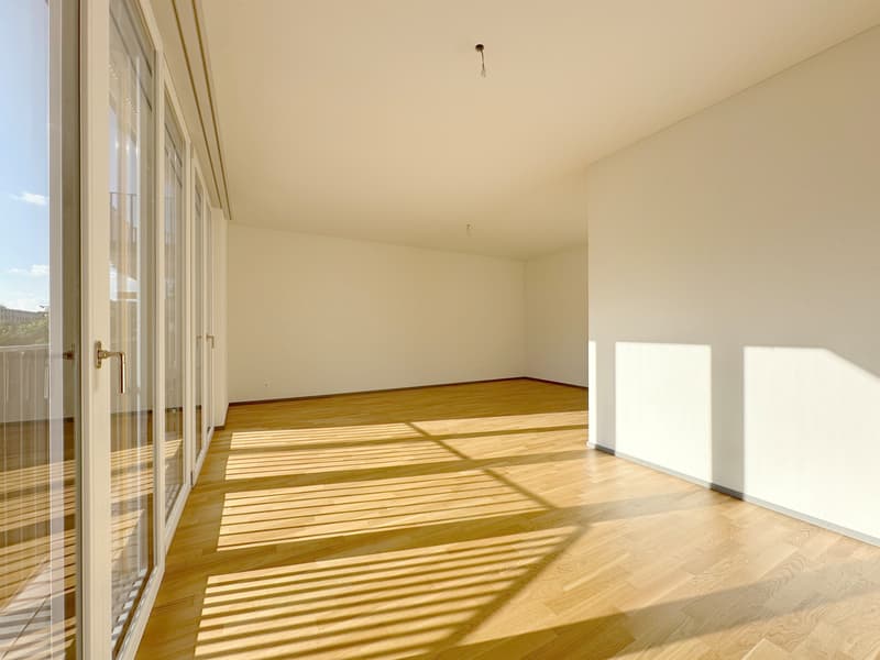 Moderne Wohnung in der Stadt Zürich (3)
