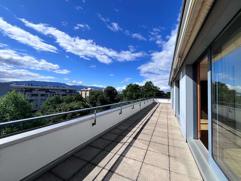 Profitez d'une superbe terrasse d'angle dans un quartier résidentiel (2)