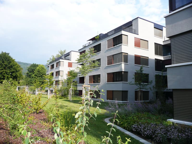 Schöner Wohnen in Wollishofen - Ruhig - Modern - Zentral! (1)