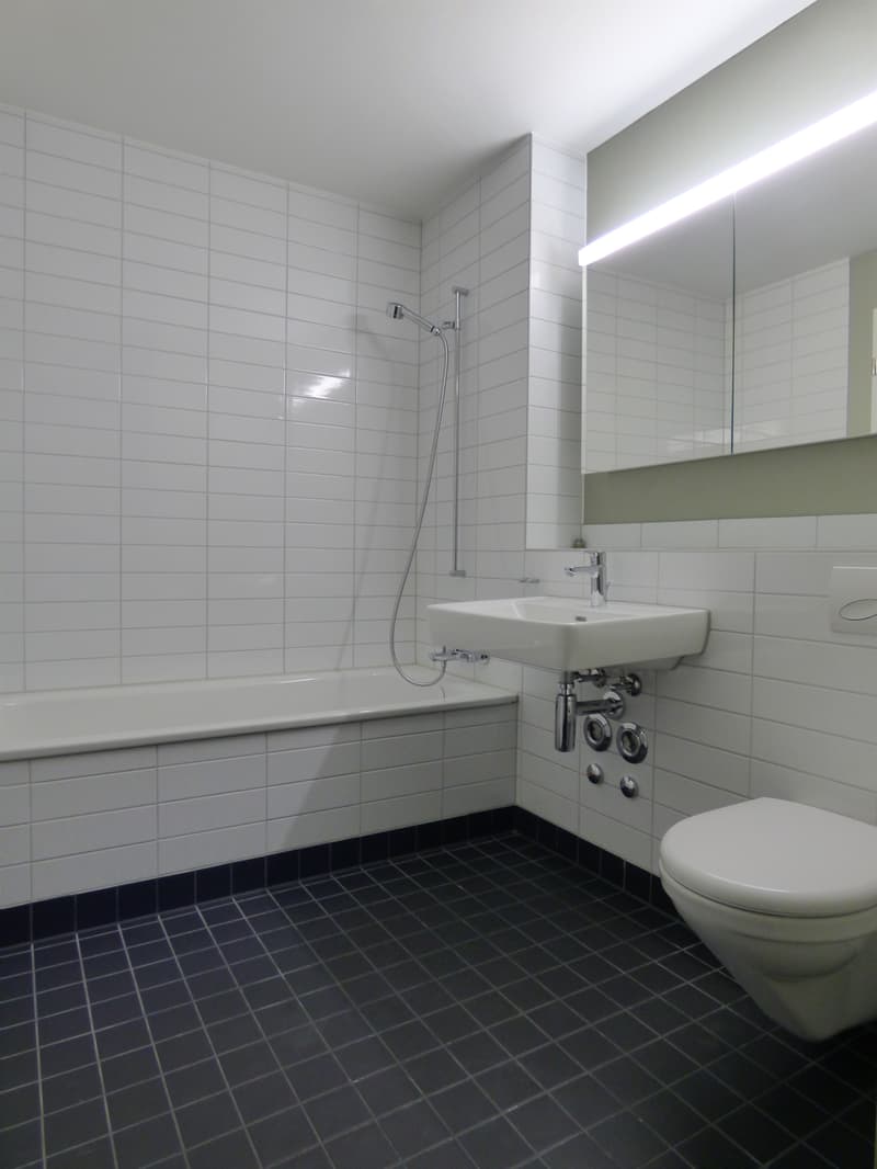 Schöner Wohnen in Wollishofen - Ruhig - Modern - Zentral! (5)