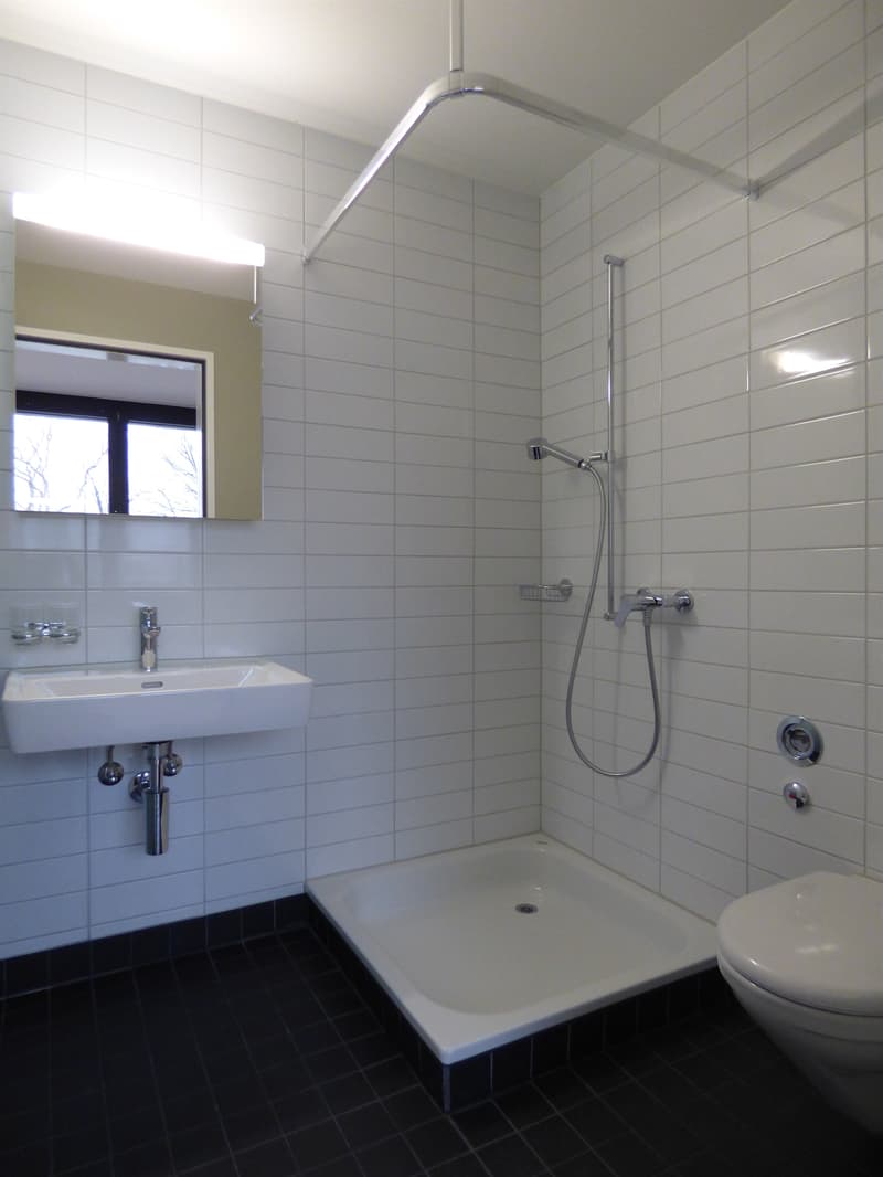 Schöner Wohnen in Wollishofen - Ruhig - Modern - Zentral! (6)
