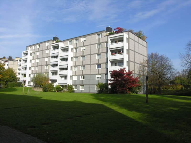 Familienfreundliche Überbauung im Grünen (2)