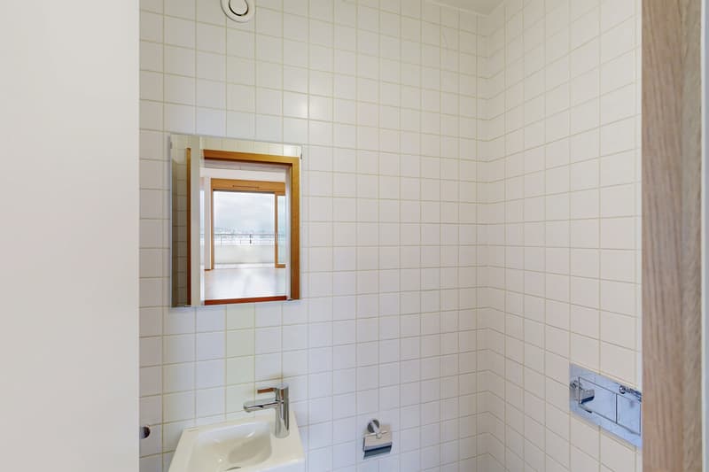 Spacieux appartement de 6.5 pièces au 8ème étage (12)