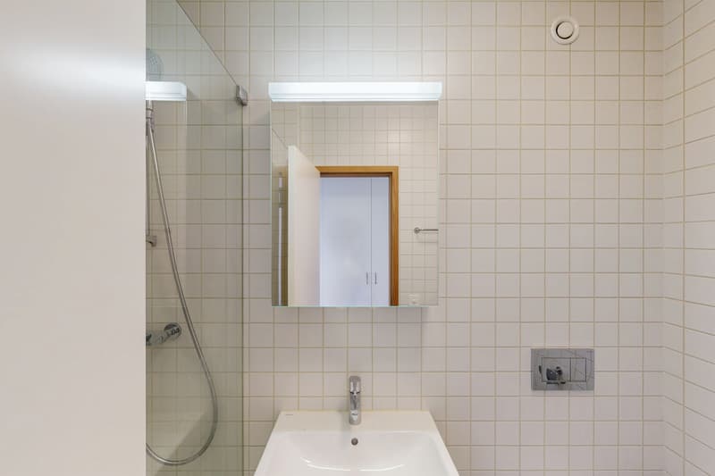 Spacieux appartement de 6.5 pièces au 8ème étage (11)