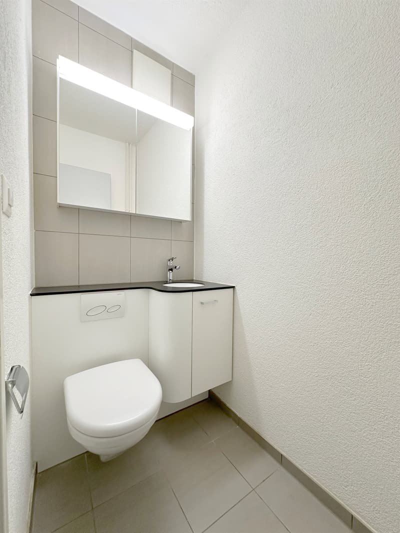 Im Herzen von Gattikon - Befristet für 1 Jahr! (11)